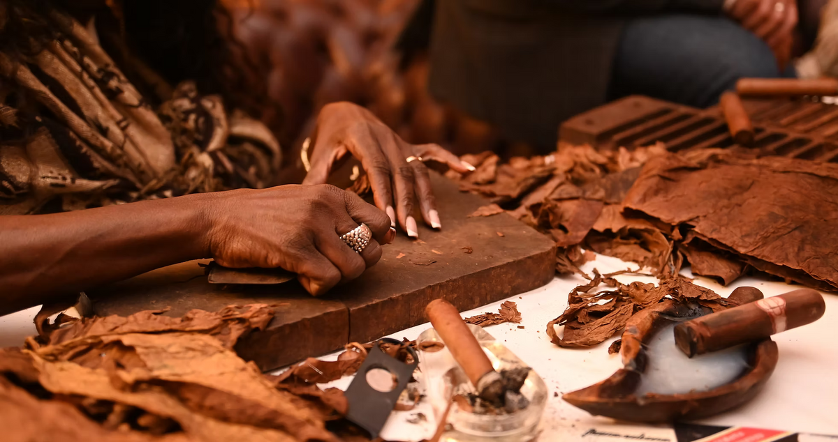 A Day in the Life of a Cigar Roller