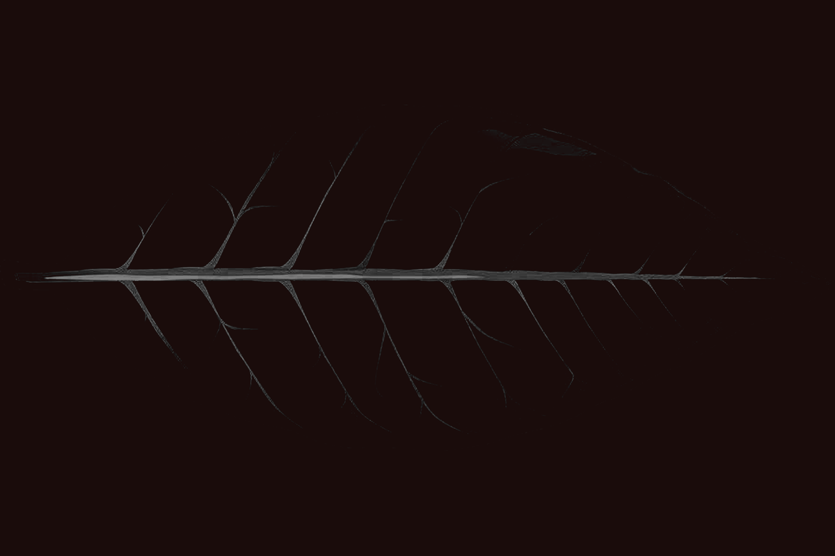 Oscuro