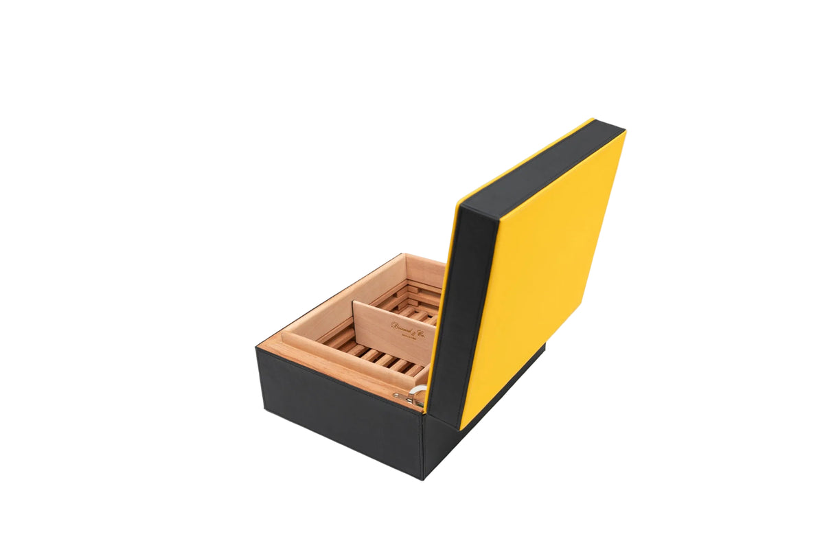 Brizard & Co – “Airflow” Cigar Humidor (30/40 Count) – Racing Black & Yellow
